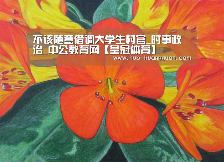 不该随意借调大学生村官_时事政治_中公教育网【皇冠体育】